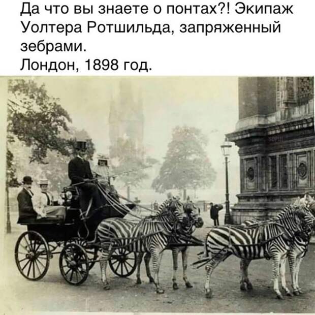 Подборка прикольных фото