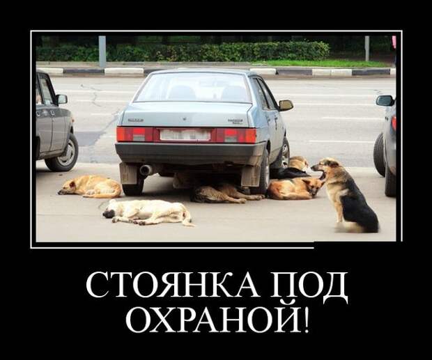 Демотиваторы (30 фото)