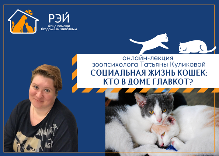 Анонс! Бесплатный вебинар!