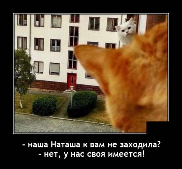 Демотиваторы 1 октября 2021 года