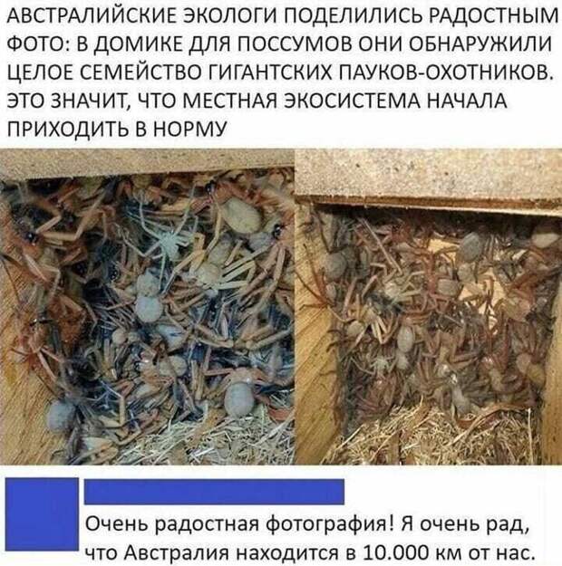 e87ee855fb4760fa12ef877e517e4d8b28123e55303c752655e11a67bffe07ba-1.jpg