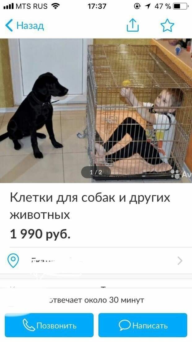 Остроумные перлы от знатоков комментирования Остроумные перлы от знатоков комментирования