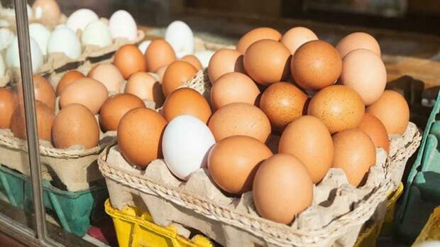 Яйца больше не бьют по кошельку: глава ФАС сообщил о снижении цен