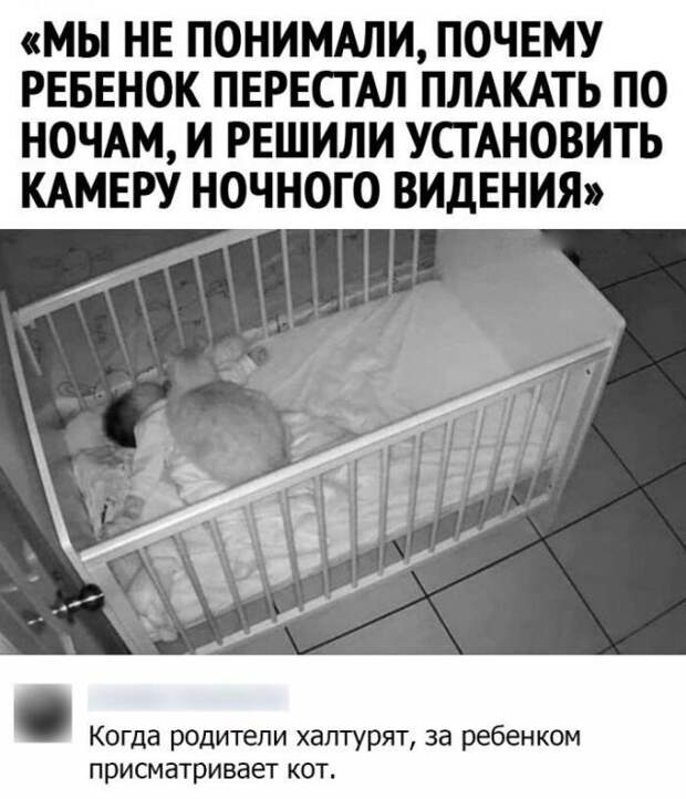 Смешные комментарии к постам в социальных сетях