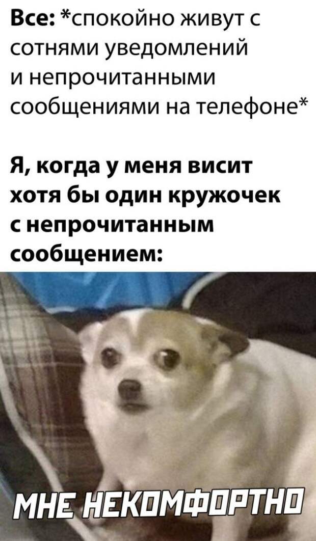 203850_28_trinixy_ru.jpg