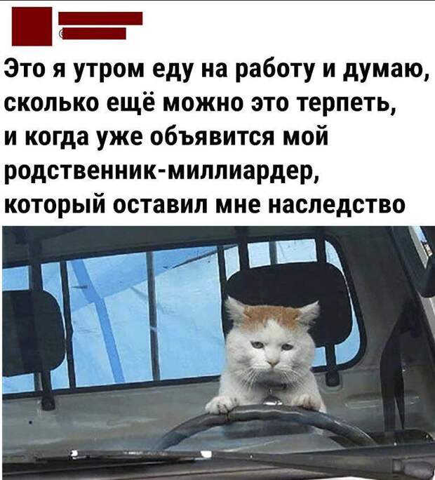 Смешные картинки с надписями (22)