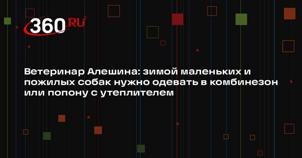 Ветеринар Алешина: зимой маленьких и пожилых собак нужно одевать в комбинезон или попону с утеплителем