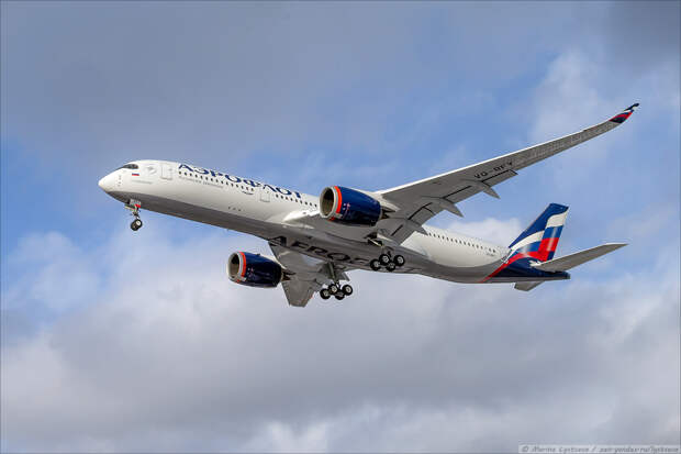 B79Q8119 B79Q8119
