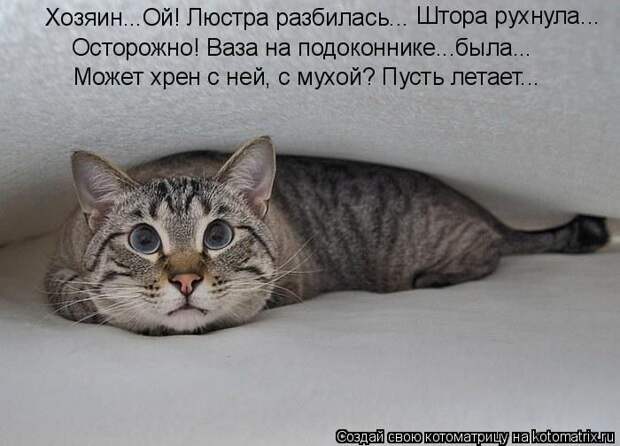 Мысли вслух :)