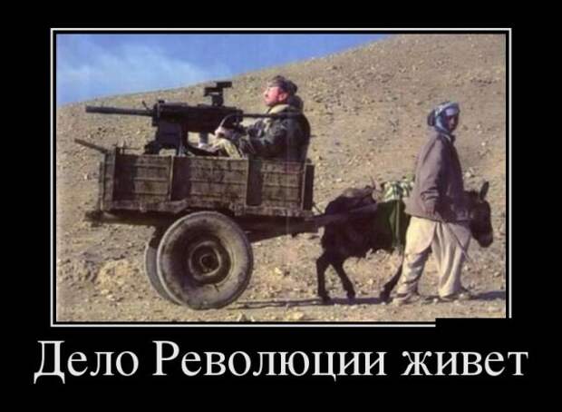 Демотиваторы (30 фото)