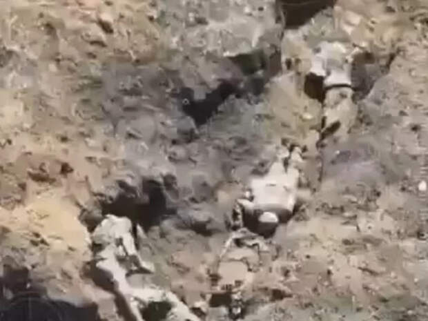 ВСУшник снял жуткое видео из окопа, забитого трупами новобранцами