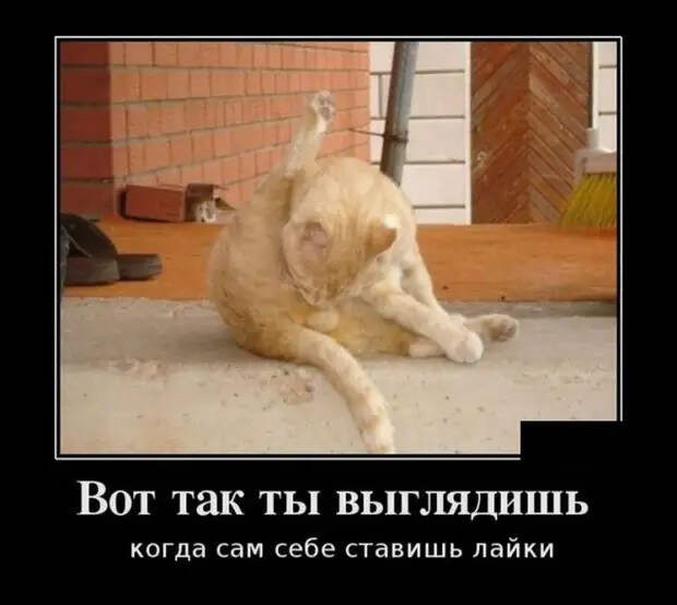 Демотиваторы (30 фото)