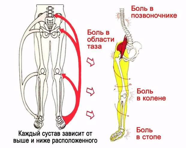 Источник: Яндекс. Картинки (схема 1)