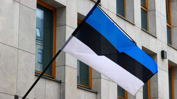 В Эстонии захотели ввести пошлины на товары из РФ для финансирования Украины