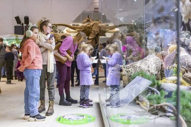 Школьные каникулы с квестами и приключениями в Дарвиновском музее
