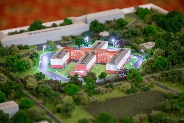 Каким французы построят Центр для пожилых в столичном Ново-Переделкино