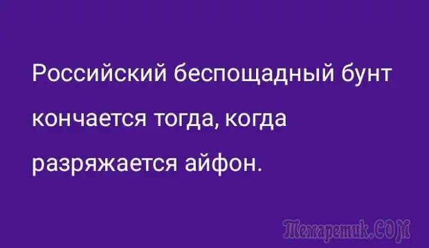 Анекдоты для отдыха