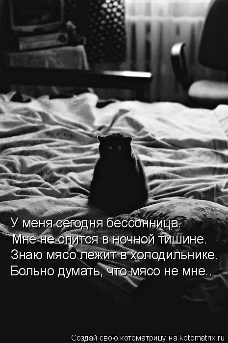 Лучшие котоматрицы недели (50 фото)