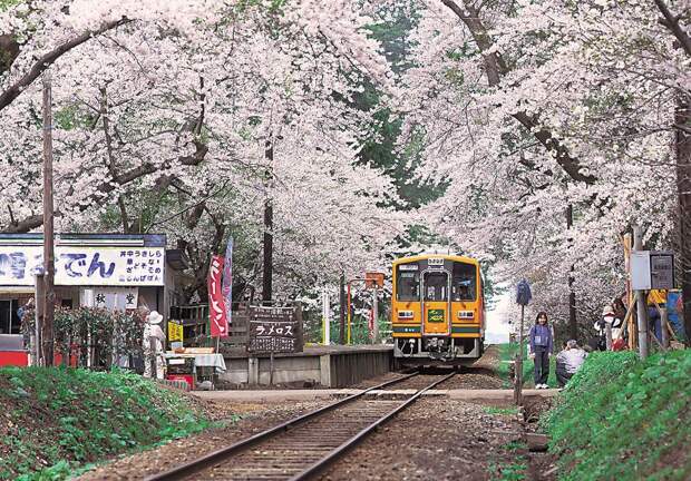 Невероятные экскурсионные поезда в Японии