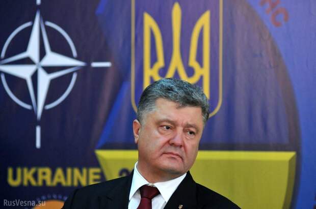 Украине не быть в НАТО, какой бы референдум ни провел Порошенко, — СМИ Британии | Русская весна