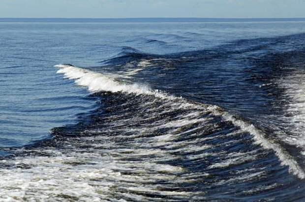 Водолазы обнаружили около десяти артефактов на дне Ладожского озера