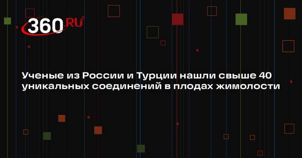 Ученые из России и Турции нашли свыше 40 уникальных соединений в плодах жимолости