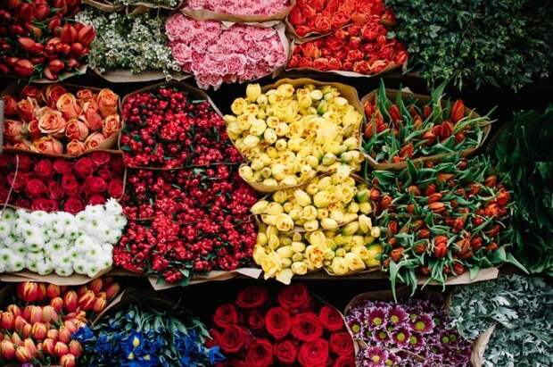 Парк цветов Keukenhof, апрель 2018 путешествия, факты, фото