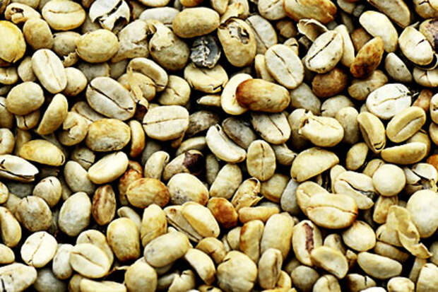 iStock_25957550_XLARGE.jpg