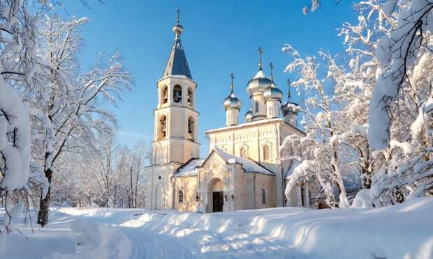 Как правильно отметить день Трифона 28 декабря и избежать проблем