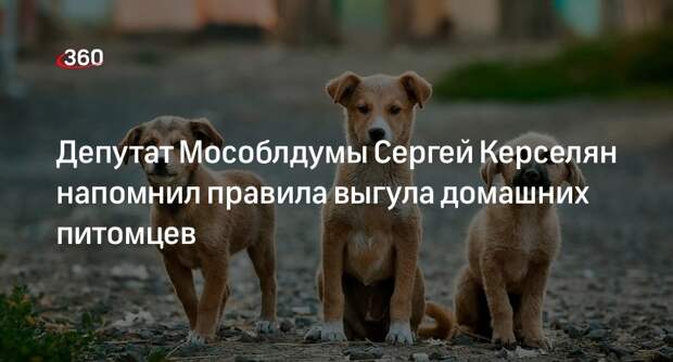 Депутат Мособлдумы Сергей Керселян напомнил правила выгула домашних питомцев