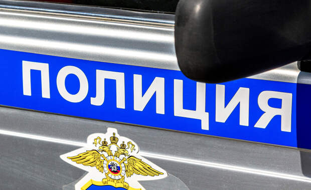 СК: жительница Тюмени заказала убийство невестки чтобы отобрать внука