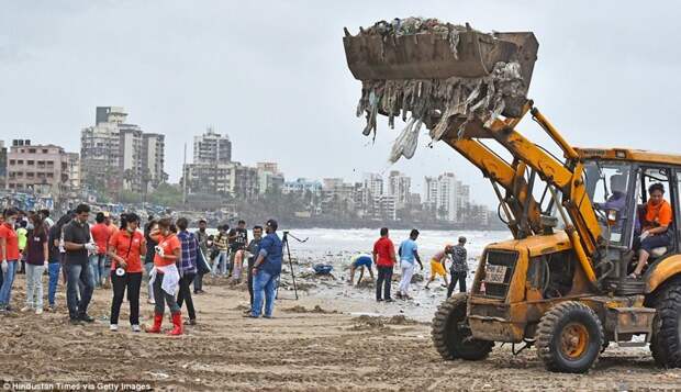 Добровольцы очистили индийский пляж от 5000 тонн мусора волонтерство, загрязнение, индия, пляж