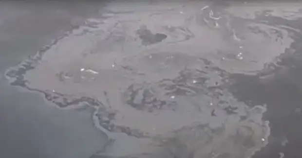 Прокуратура начала проверку по факту загрязнения Нижнего озера в Людиново