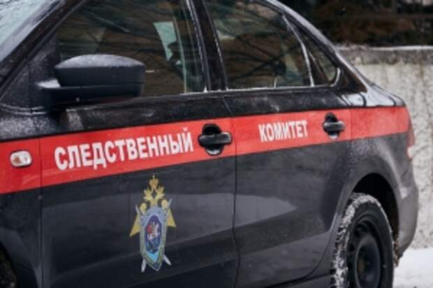 Главе ведомства будет доложено об установлении обстоятельств и лиц, причастных к стрельбе в общественном месте города Волгограда