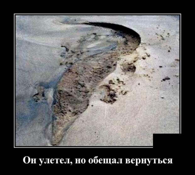 Демотиваторы (30 фото)