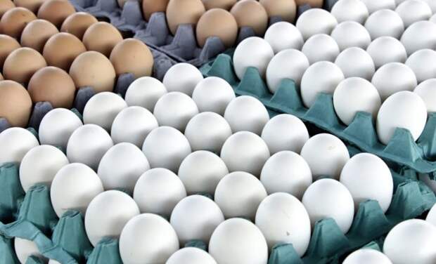 4c67f08679c92b4a5dde_content_big_87fde87d