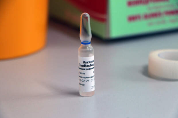 В Севастополе сделали прививку от коронавируса 68 834 человека