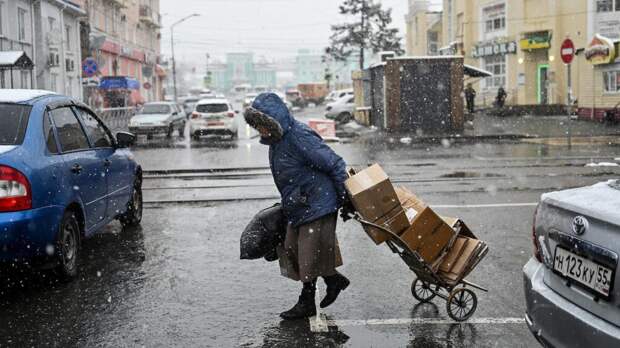 Депутат ГД Гартунг: предлагаем Счетной палате провести аудит Социального фонда