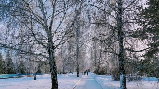 В Алтайском крае после похолодания температура вновь поднимется до нуля