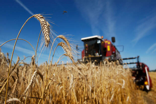 Российский разработчик ИИ вошел в топ-5 в сфере сельского хозяйства