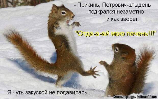 Котоматрицы великолепные, каждая с кусочком позитива и хорошего настроения!!!