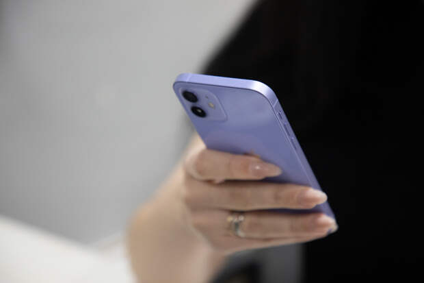 Политолог Штульман рассказала, как ФНС будет сравнивать успешную жизнь россиян с доходами