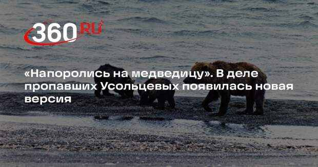 Друг пропавшего Усольцева: на семью могла напасть медведица с медвежатами