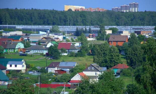 Деревня Кривское. Фото: archive.org