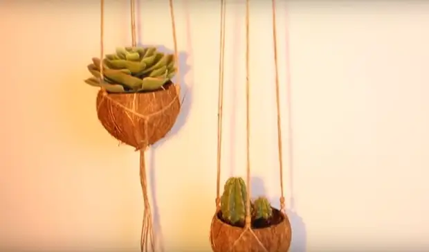 Необычные поделки из кокоса своими руками: лучшие мастер-классы