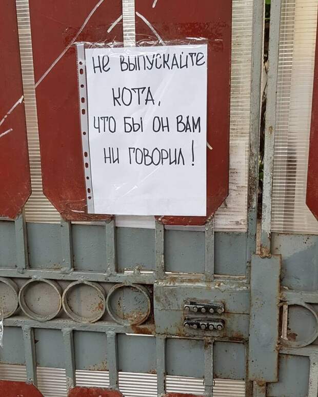 9. Смешное объявление