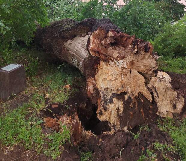После урагана тсячи смолян остались без света