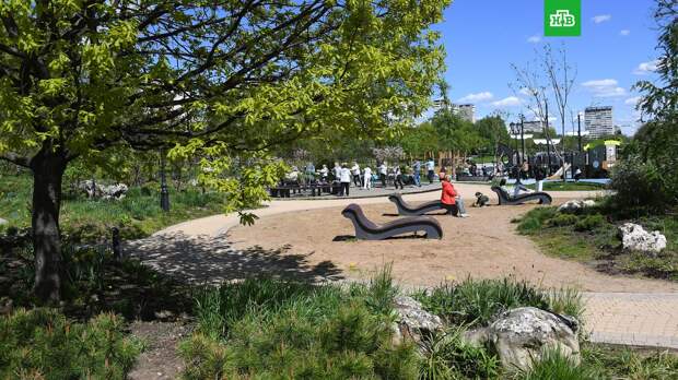 Синоптик пообещал теплое лето без осадков в Москве