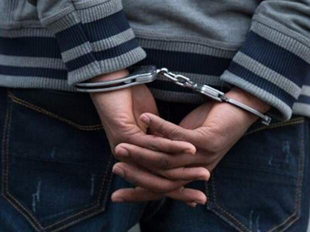 Сына Жириновского арестовали на 15 суток за нападение на полицейского