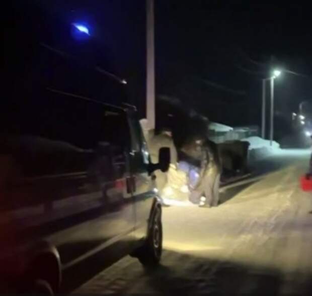 В центральный аппарат СК России представят доклад о предварительных результатах расследования уголовного дела по информации о нападении безнадзорных животных на ребенка в Курганской области